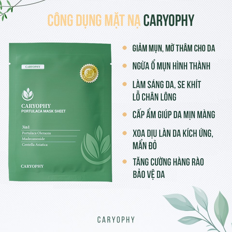 Mặt nạ giảm mụn thâm Caryophy Portulaca Mask Sheet (Hộp 10 miếng)