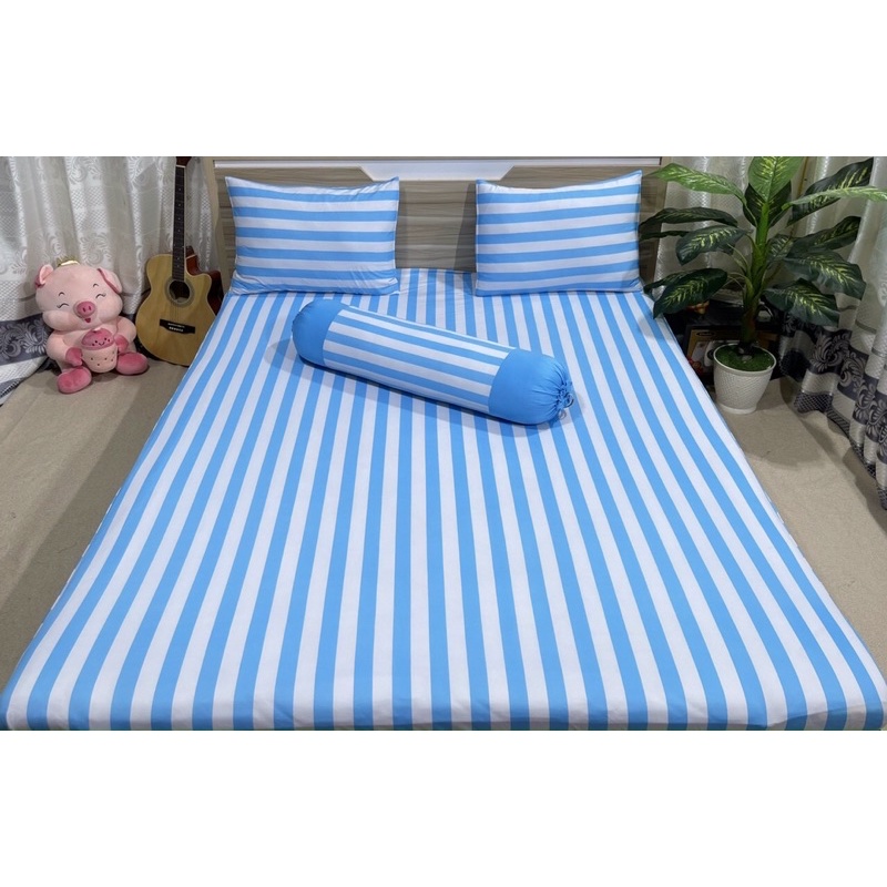 Bộ drap thun hàn quốc 4 món mát mịn mẫu kẻ sọc 5 màu siêu xinh