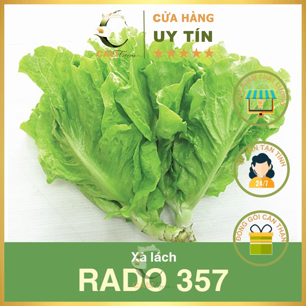 Hạt Giống Xà Lách Rado 357 (10gr)