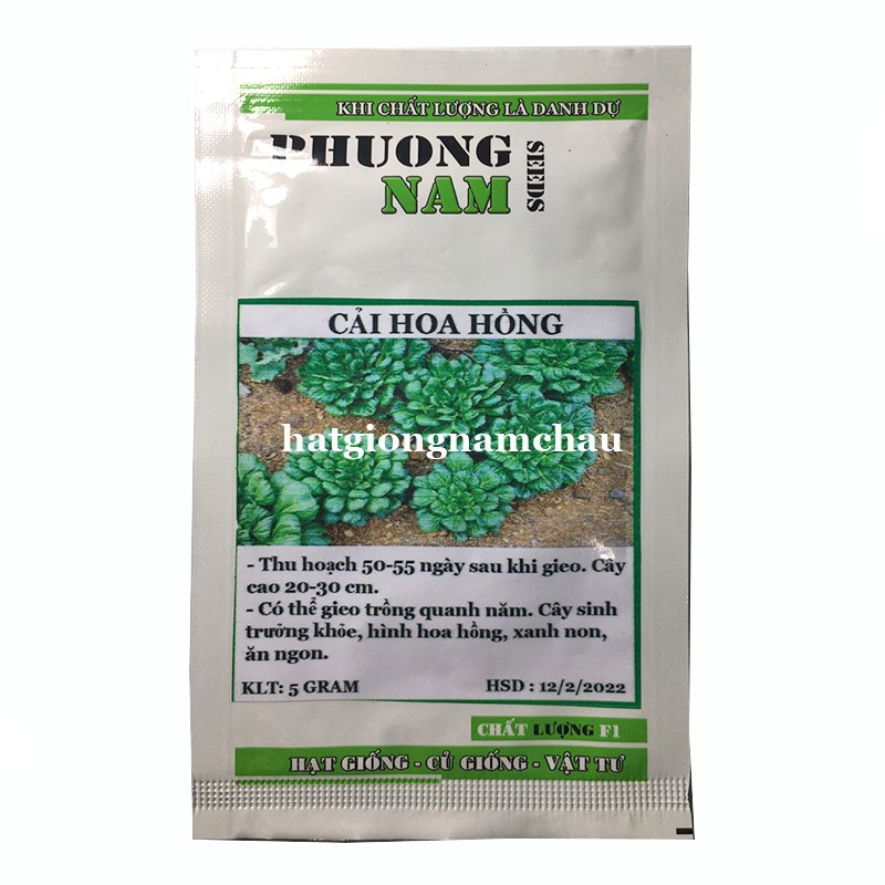 5GR - HẠT GIỐNG CẢI HOA HỒNG