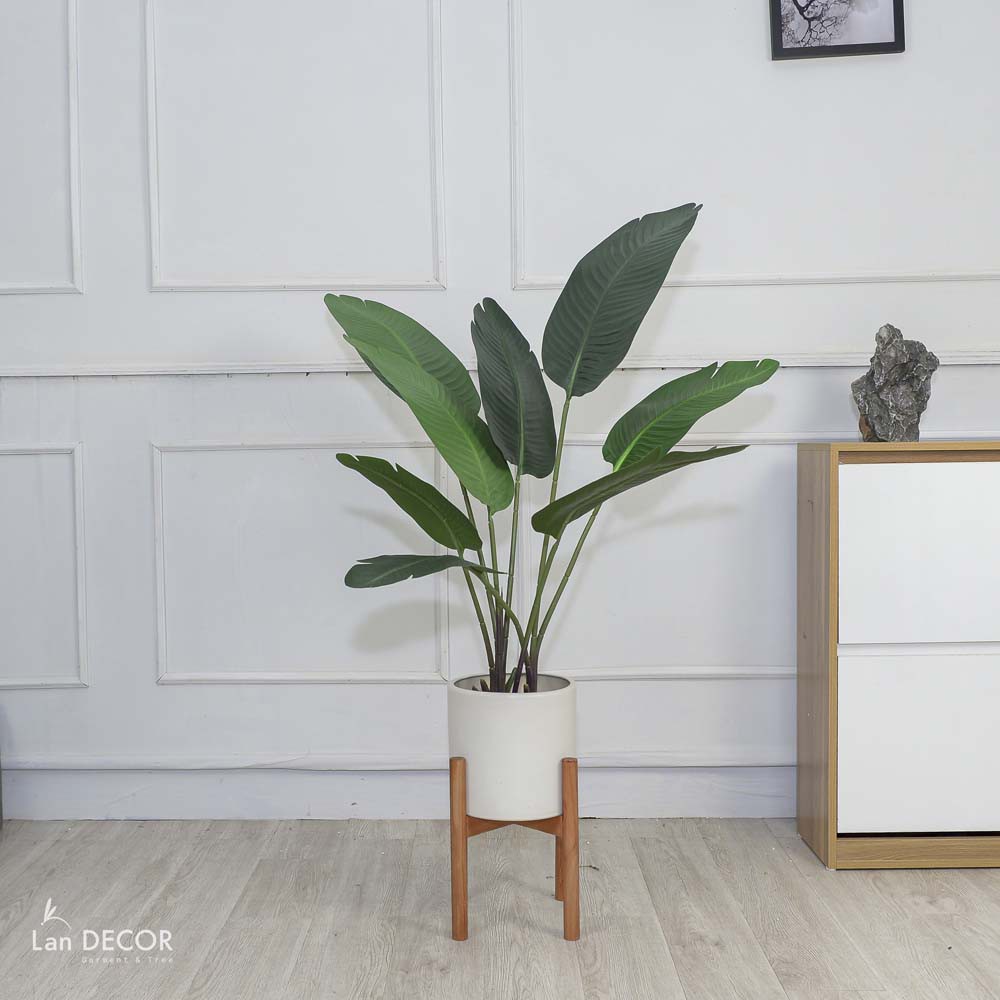 Cây chuối giả - Cây chuối cảnh trang trí nhà cửa, thuộc dòng chuối rẻ quạt, đẹp ấn tượng giống hệt cây thật Lan Decor