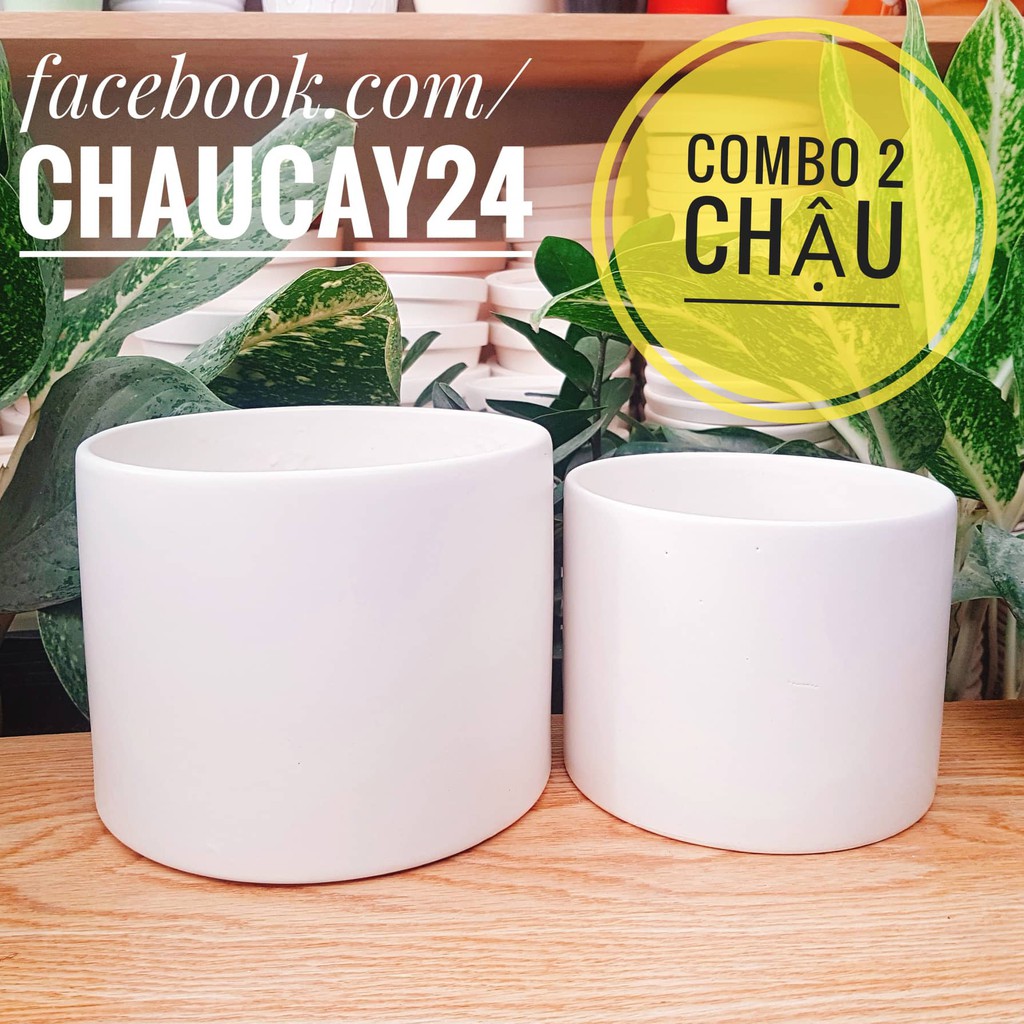 COMBO 2 chậu sứ trụ trơn lớn và nhỏ để trồng cây cảnh nội thất, cây cảnh để bàn, sen đá, xương rồng