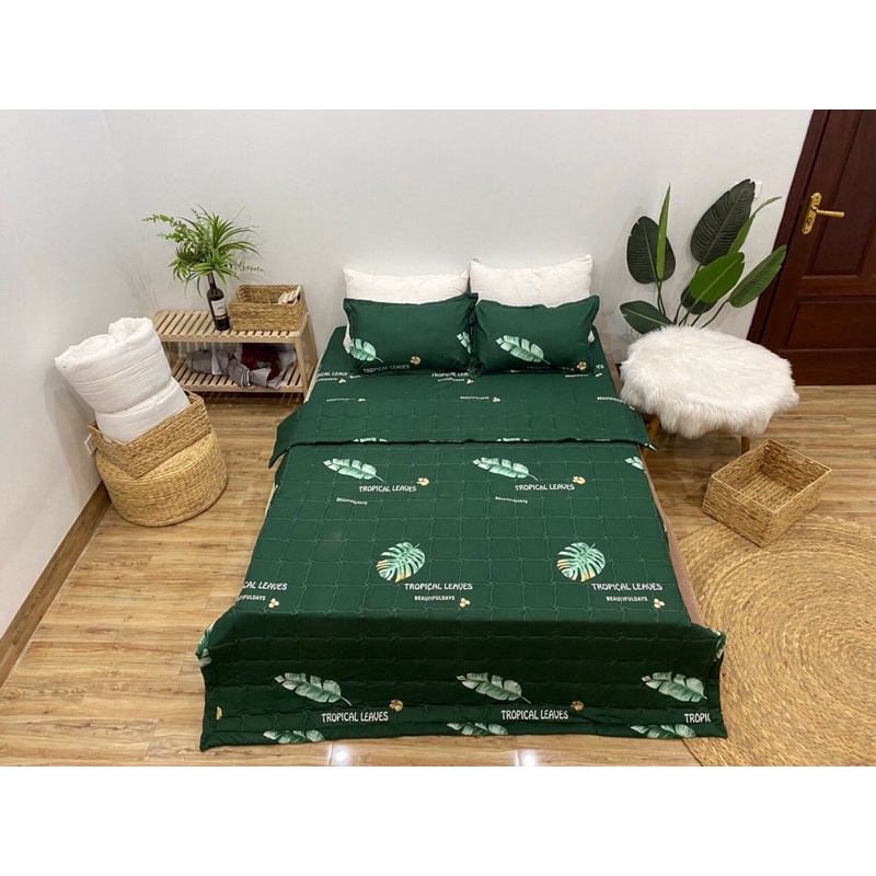 [Xả Kho Giá Gốc ] Bộ ga gối Cotton Poly bo chun M6/M8 drap giường poly, ga trải giường kèm 2 vỏ gối | BigBuy360 - bigbuy360.vn