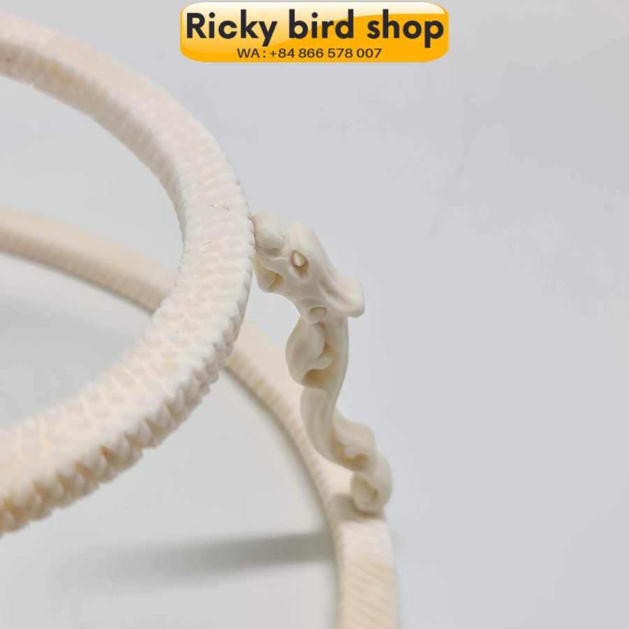 Cầu dế rồng cho lồng khuyên - Phụ kiện xương độ lồng