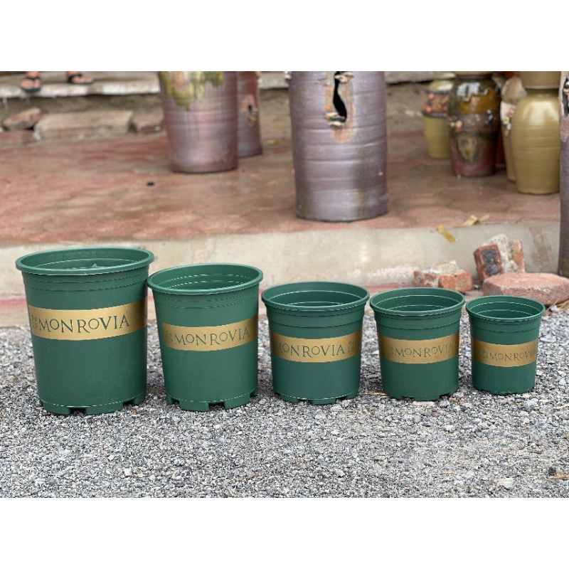 Chậu nhựa MON- GAL trồng hoa, cây cảnh  đủ size