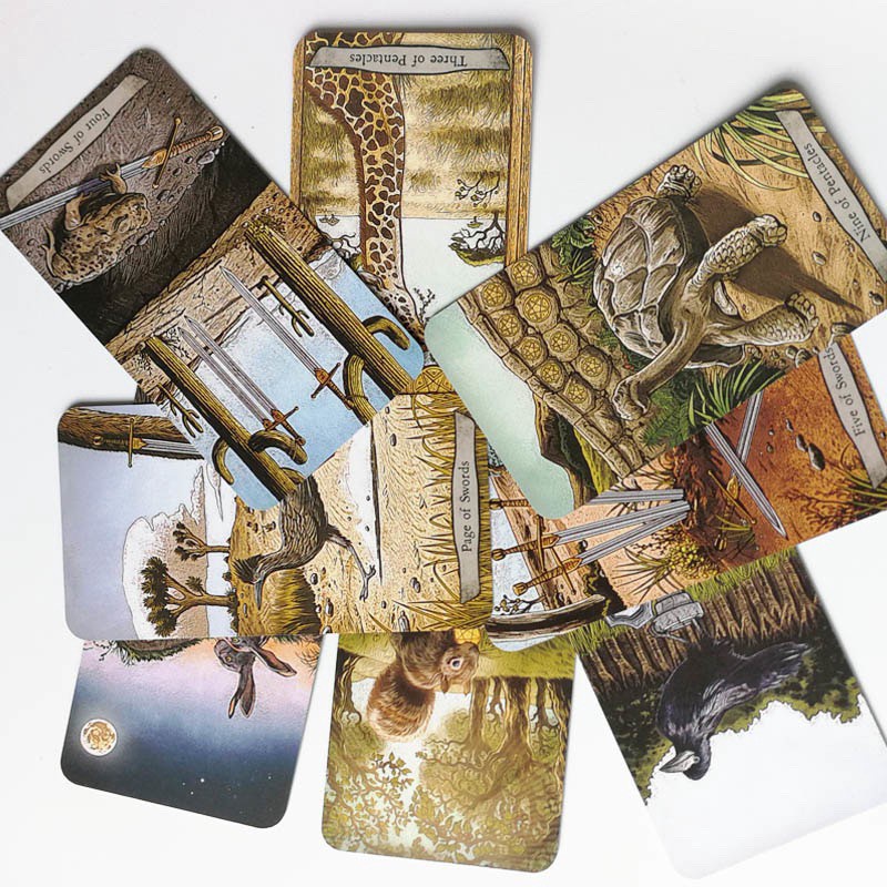 Bộ bài Animal Totem Tarot Nifoki E3