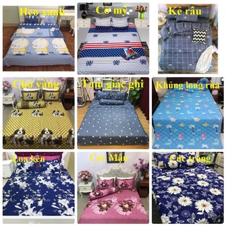 Bộ ga + 2 gối  cotton poly cute 1m6 - 1m8