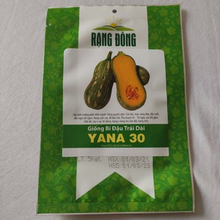 HẠT GIỐNG BÍ ĐỎ HẠT ĐẬU ( BÍ ĐỎ HỒ LÔ)