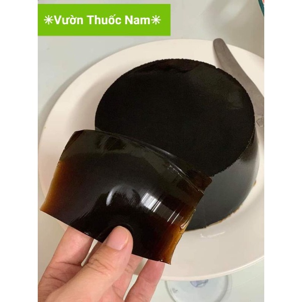 @ Cây sương sáo tươi hái tại vườn dùng nấu thạch đen sương sáo đảm bảo xanh sạch