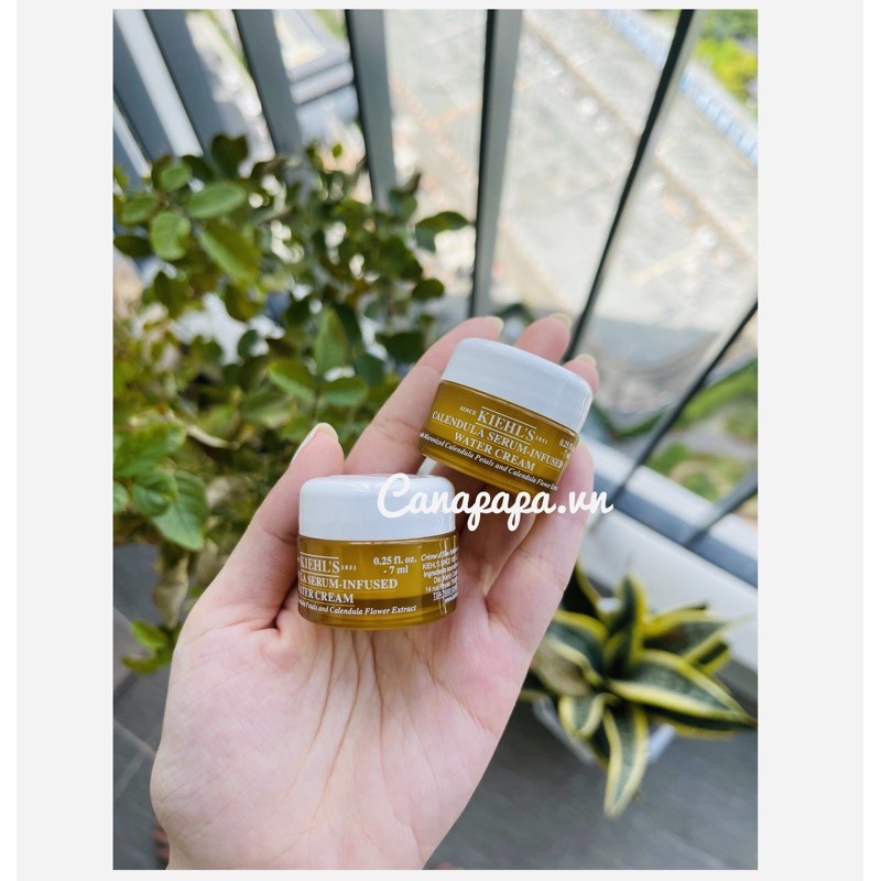 Kem dưỡng hoa cúc Calendula Serum infused mini