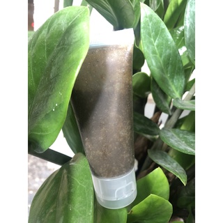 [20gr] SỮA RỬA MẶT THẢO MỘC
