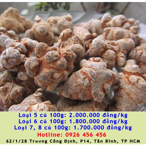 Củ Tam Thất Bắc 500g (Chuẩn Rừng) Loại 50, 60, 70 Củ/kg, Tam Thất Bắc Hà Giang Loại 1, Đều, Đẹp