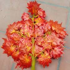 Combo 100 cành lá phong đỏ làm cây phong đỏ trang trí siêu đẹp