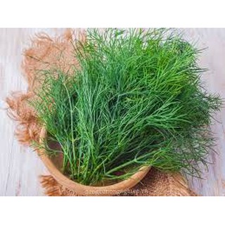 Hạt giống rau thì là gói 200 hạt
