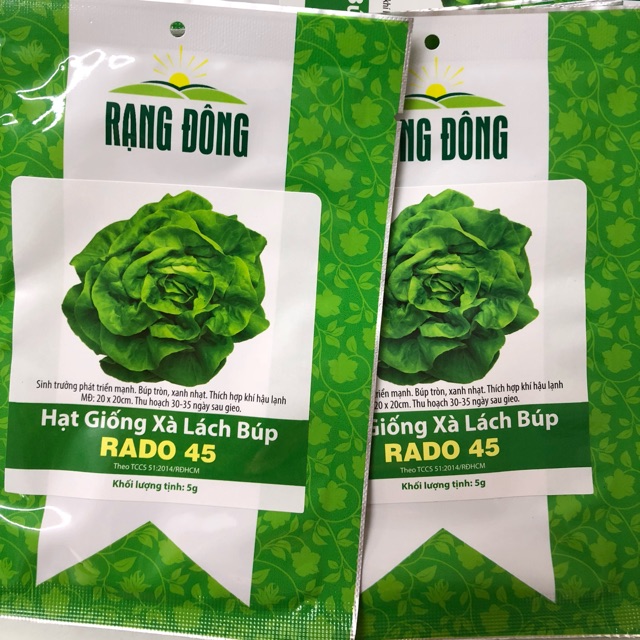 Hạt giống Xà Lách Búp