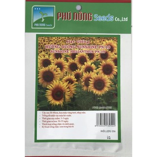 Hạt giống hoa hướng dương Phú Nông (PN132544)- 1g