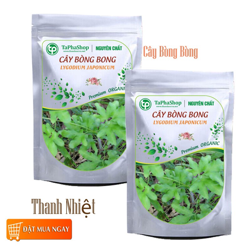 Cây bòng bong khô  - Tấn Phát