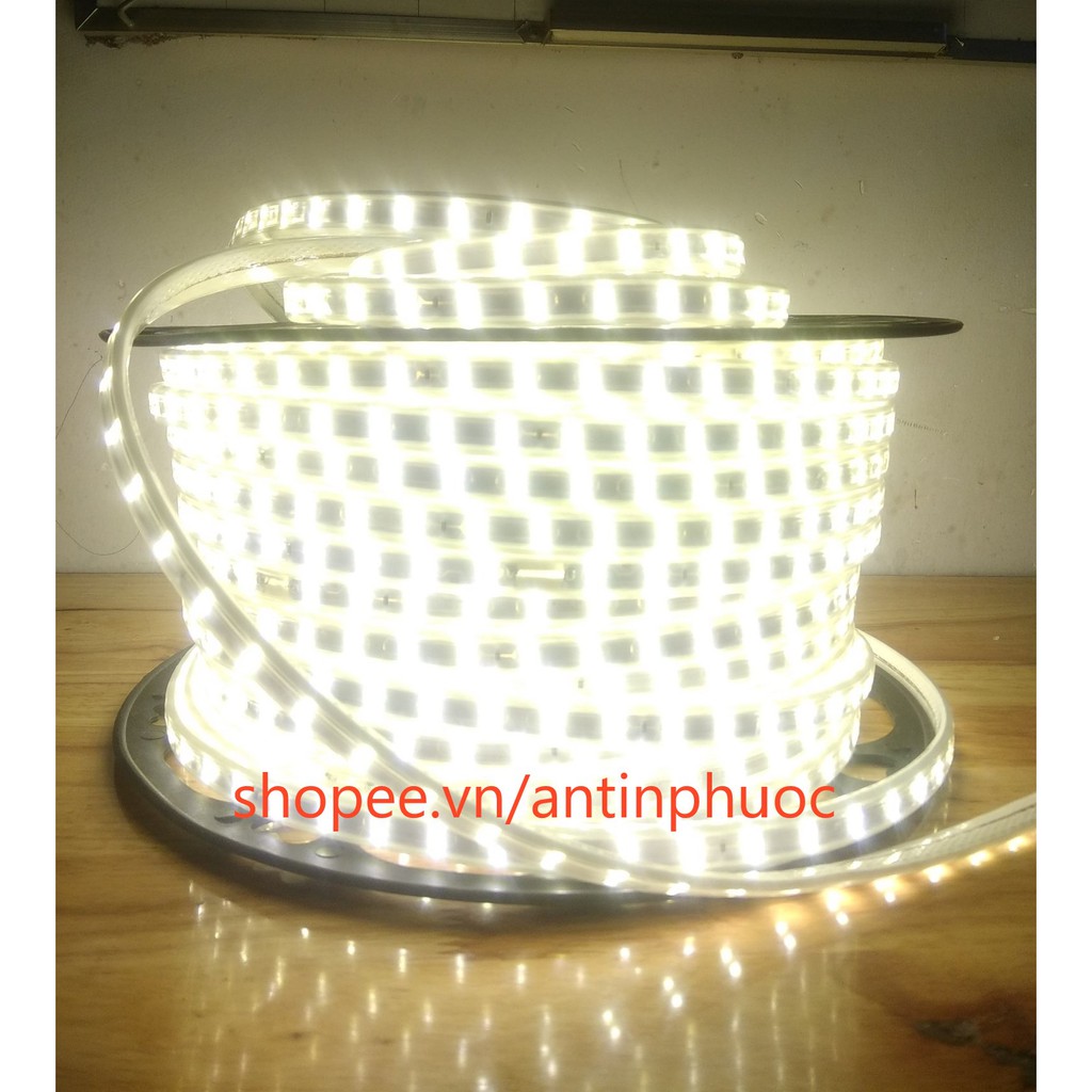 Đèn led dây đôi 220v trang trí , ánh sáng nền - Dây led đôi 2835 hắc trần màu trắng ,vàng siêu sáng quấn cây , ốp tường | BigBuy360 - bigbuy360.vn