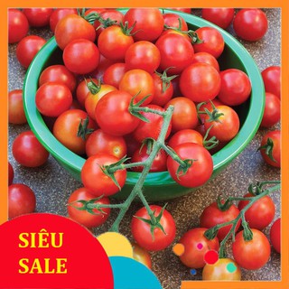 1g hạt giống cà chua bi vietphat