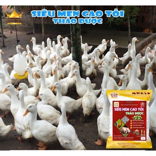 siêu men cao tỏi