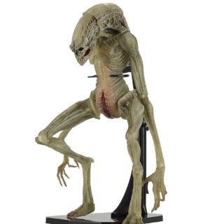 Mô hình Neca Deluxe Alien Newborn