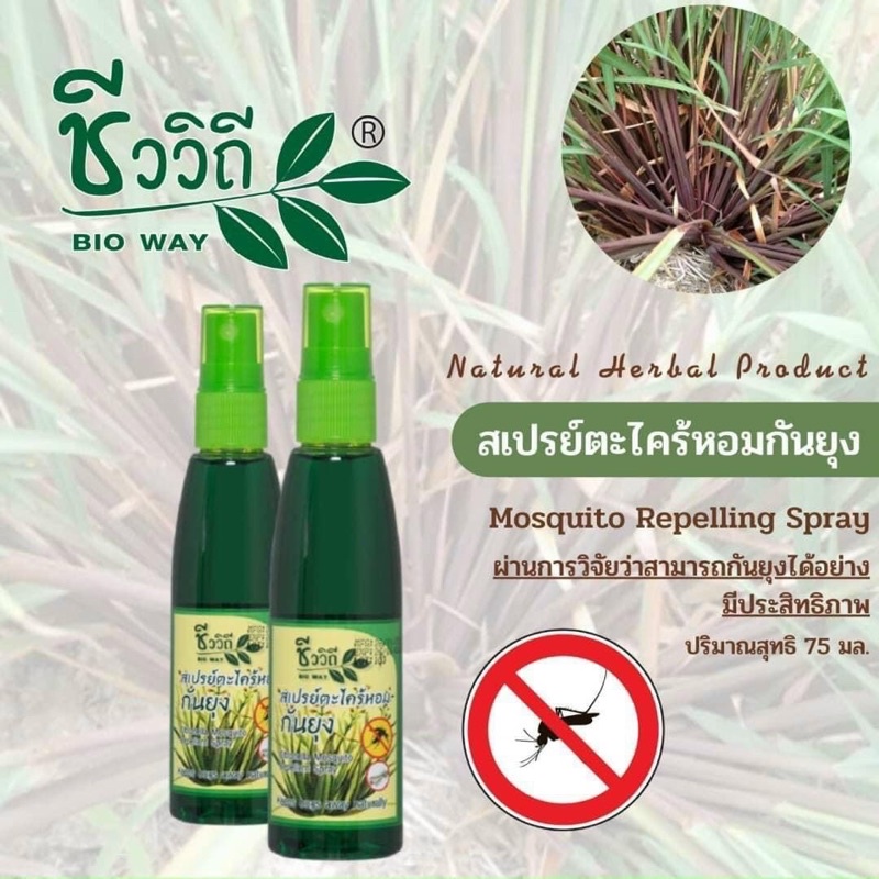 🦟 Xịt Đuổi Muỗi Bio Way Thái Lan 🇹🇭 Hương Sả Dễ Chịu