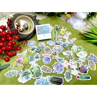 Hộp sticker Watercolor Cactus