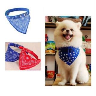 Set 5 vòng cổ cho thú cưng