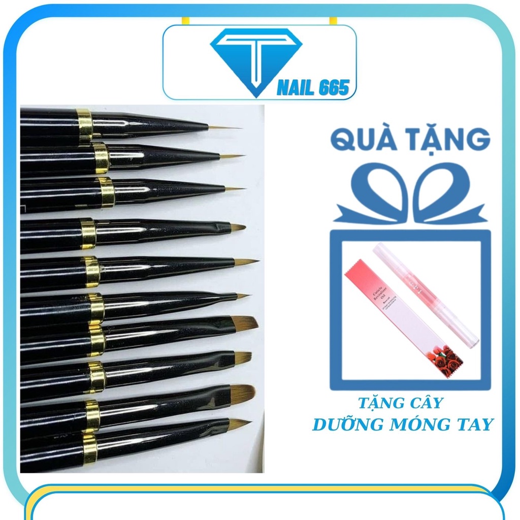 Cọ vẽ nail trang trí móng tay , Bộ cọ LAWEI nhật bản 10 cây vẽ hoa đắp gel ,nét ,tròn bản