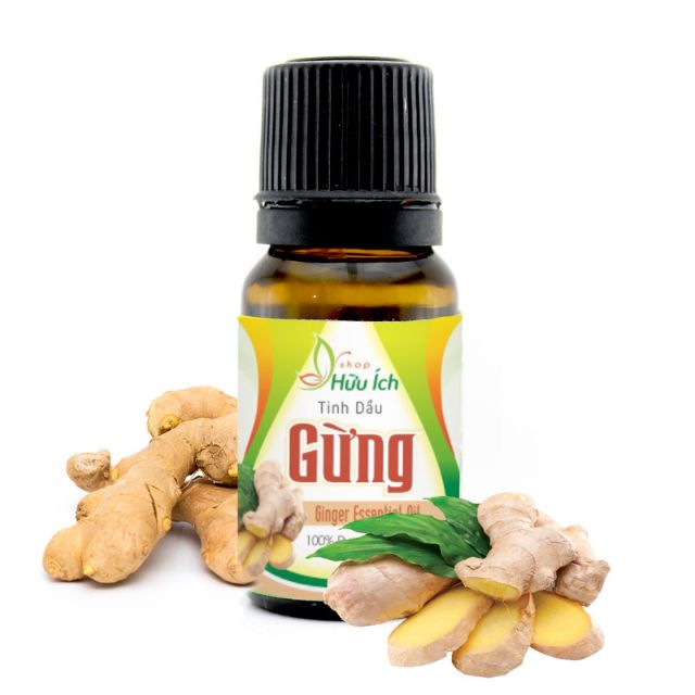 Tinh dầu gừng xông phòng,  giảm rụng tóc và giúp giảm mỡ bụng 10ml