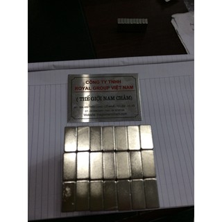 Nam châm viên đất hiếm 20x10x5mm