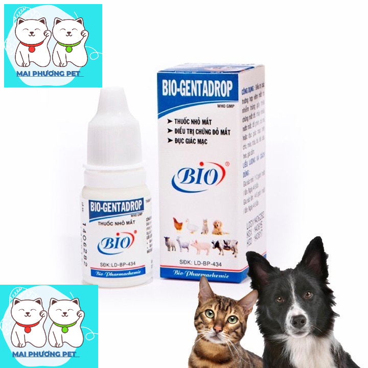Nhỏ mắt Bio Gent-Drop 10ml điều trị xử lý chứng đau mắt đỏ,chảy nước mắt chó mèo