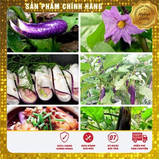 Hạt Giống Cà Tím Dài (2 gr)