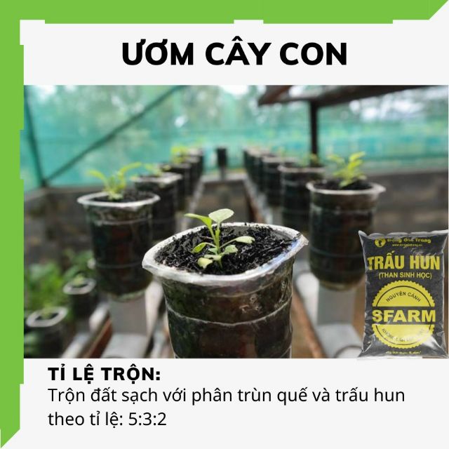 Túi 5dm Trấu hun SFARM (Biochar – Than sinh học) bổ sung kali bón cây siêu tốt