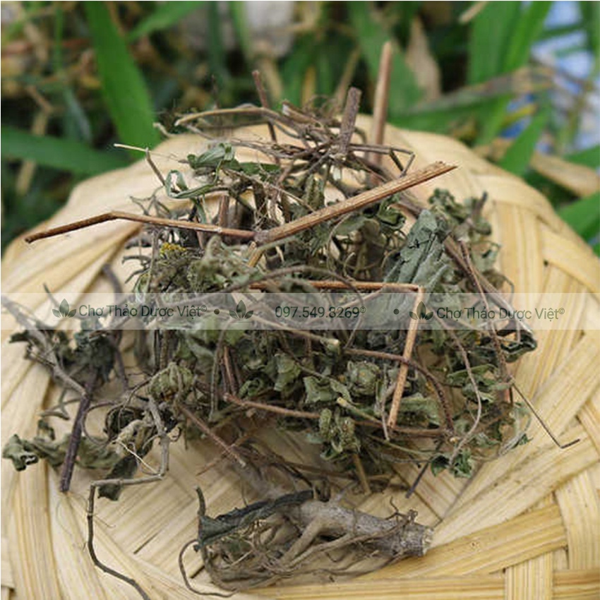 Hy thiêm thảo khô 500g (Cây hy thiêm) - Chợ Thảo Dược Việt