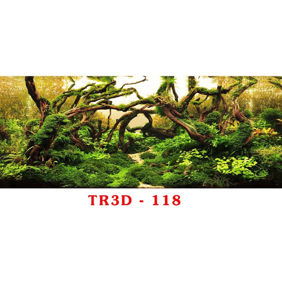 Tranh 3D trang trí hồ cá, bán cạn tiểu cảnh - chủ đề Đại dương xanh part 5
