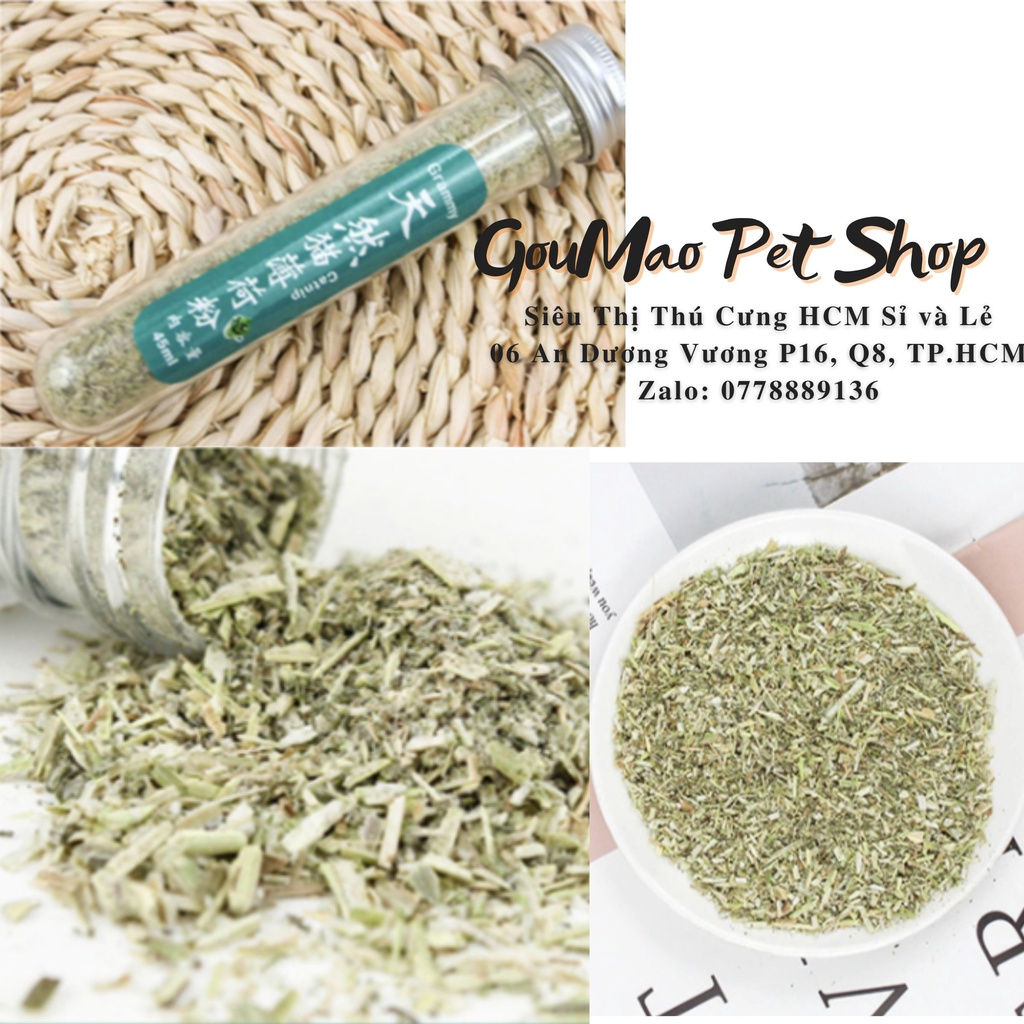 Cat Mint / Cattrip / cỏ dành cho mèo