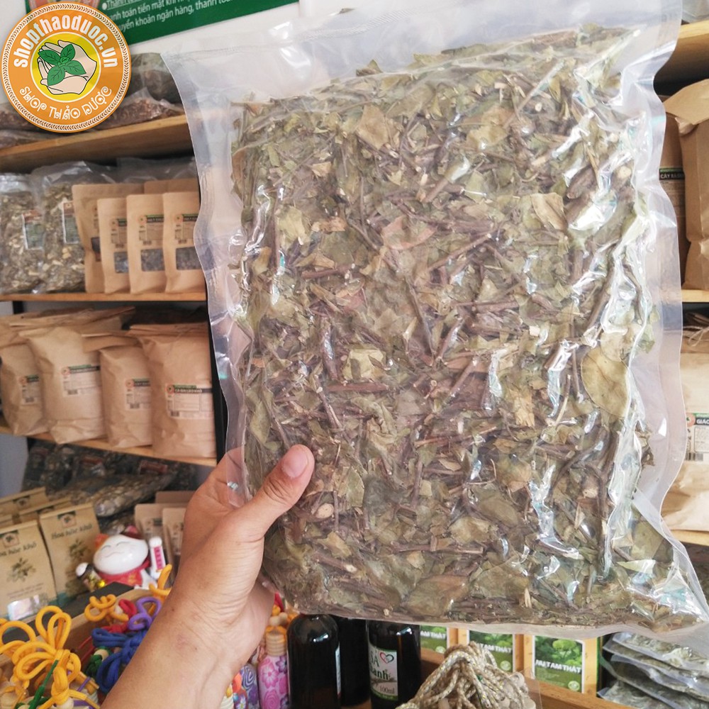 Dây Thìa Canh sạch Gói 500G - Dây Thìa Canh Shop Thảo Dược - Hỗ Trợ Ngăn Ngừa Bệnh Béo Phì, Ổn Định Đường Huyết