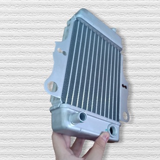 Két Nước làm mát cho xe Dylan - 8654