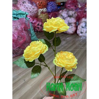 Combo 10 cành hoa trà Mộc Miên 3 bông lớn