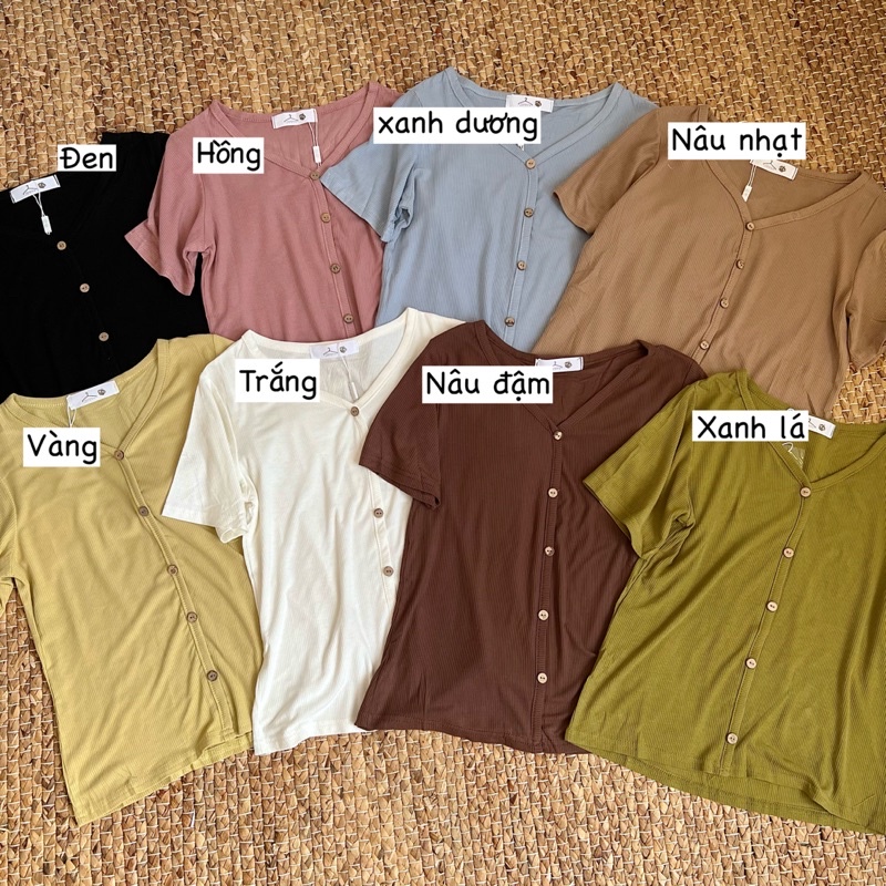 Áo thun tăm nữ cổ V chất mát mịn xinh ( Ảnh thật )