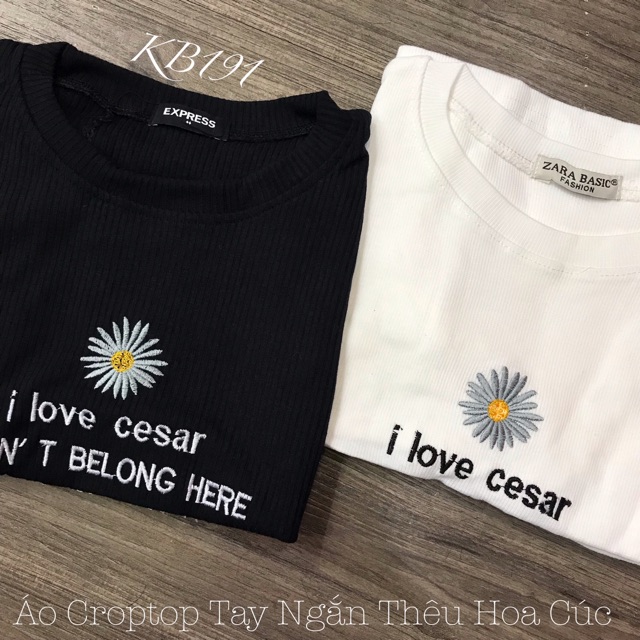 Áo Croptop Tay Ngắn Thêu Hoa Cúc + Chữ