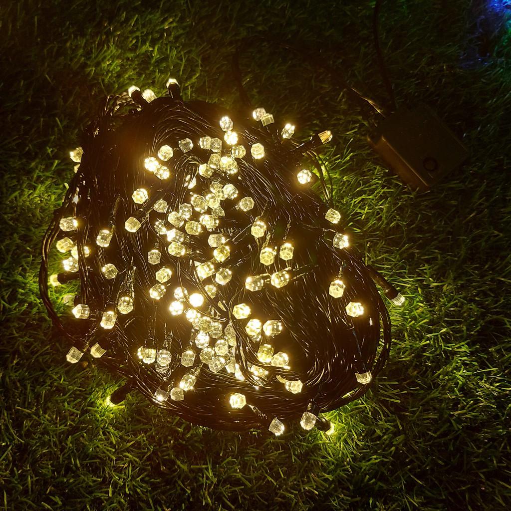 Dây đèn chớp Led gần 50 Mét đủ màu-Led dây trang trí Siêu lung linh - Dây đèn Led trang trí Noel