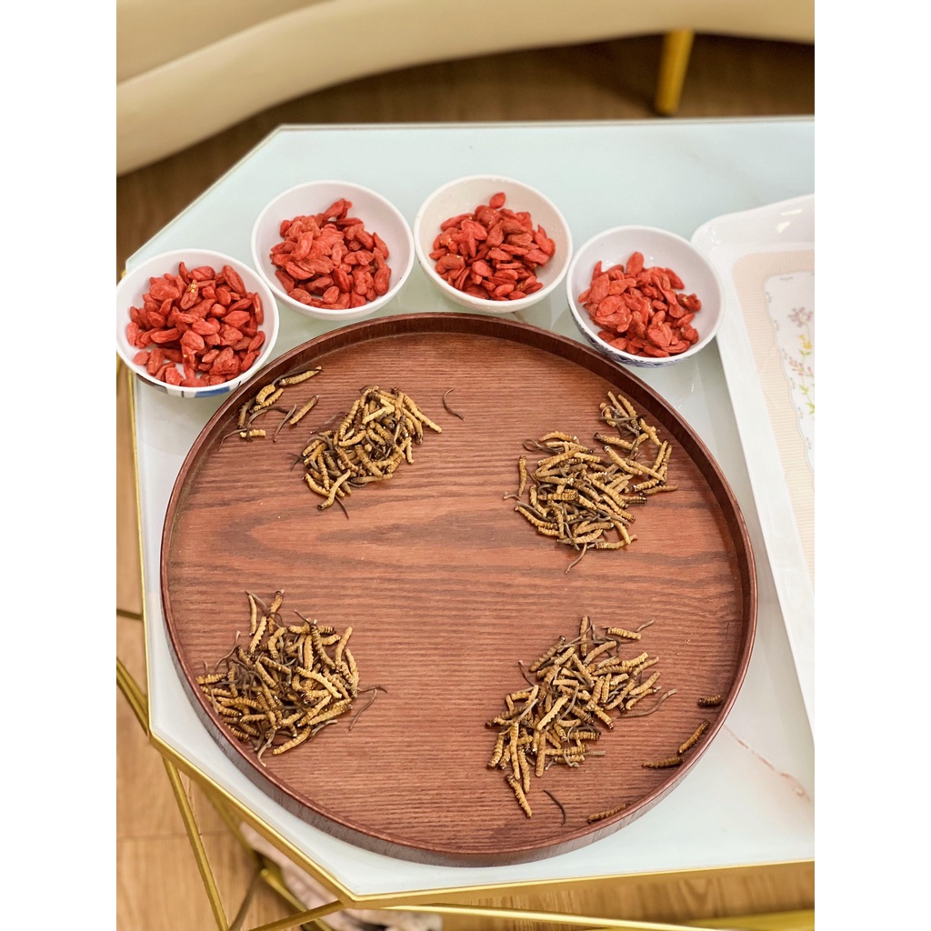 ĐÔNG TRÙNG HẠ THẢO MẮT ĐỎ THIÊN NHIÊN NÚI TUYẾT BHUTAN - 5GRAM SIZE GẪY