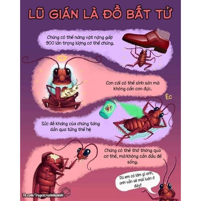 Hộp 12 viên diệt dán nhật bản hiệu quả tiện lợi
