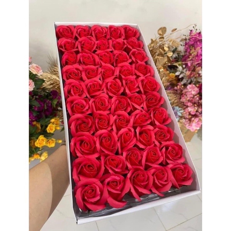 Hoa hồng sáp