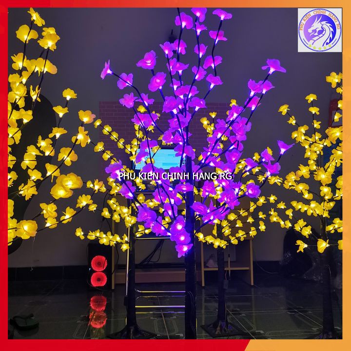 Cây Mai Cây Đào Trang Trí Nhà Cửa Trưng Ngày Lễ Tết Cực Lung Linh