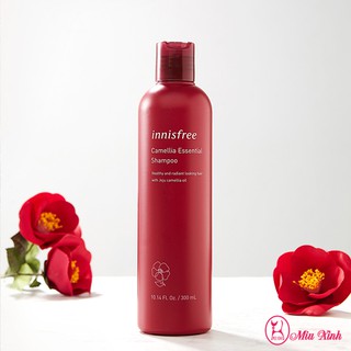 Dầu Gội Innisfree Camellia Essential Shampoo