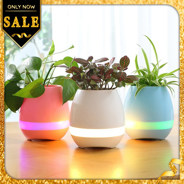 { HOT } Loa Bluetooth Kiêm Chậu Cây Cảm Ứng Phát Nhạc 2Good K3 Thiết Kế Nhỏ Gọn Tiện Lợi Âm Thanh Chân Thực - Nhiều Màu