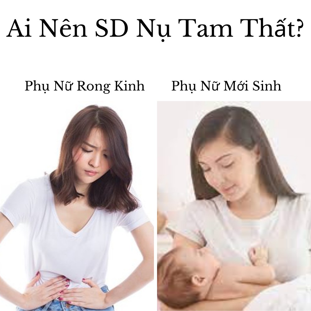 Nụ hoa tam thất Thông Cát- phương pháp an toàn cho giấc ngủ